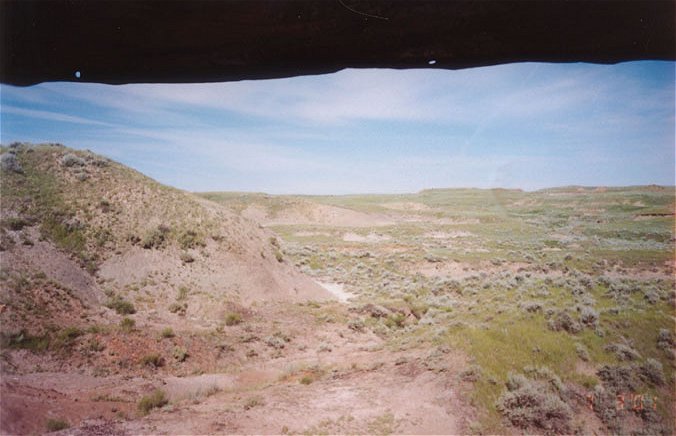 Triceratops Dinosaur Excavation in Montana