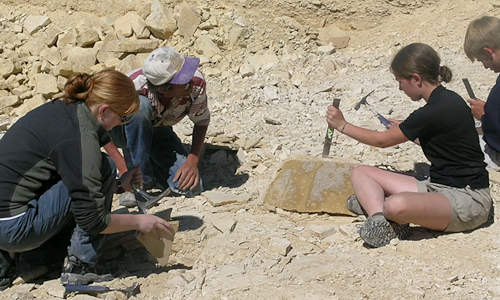 Green River Fossil Hunting with Fossil Era Adventures