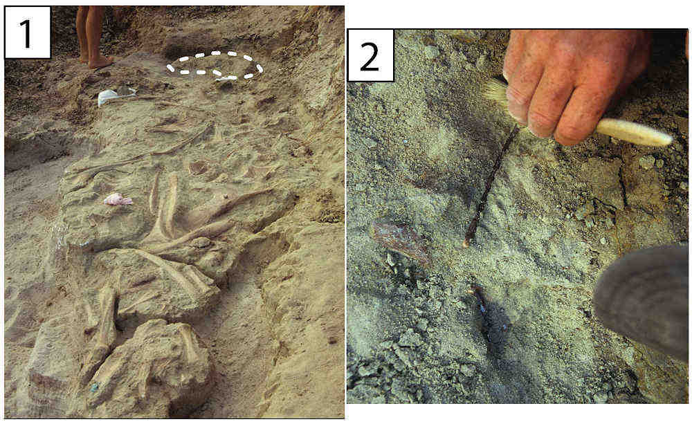 This is figure 41 from Forster et al., 2020