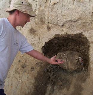 fossil excavation