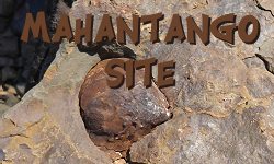 Mahantango Devonian Fossil Hunting Site