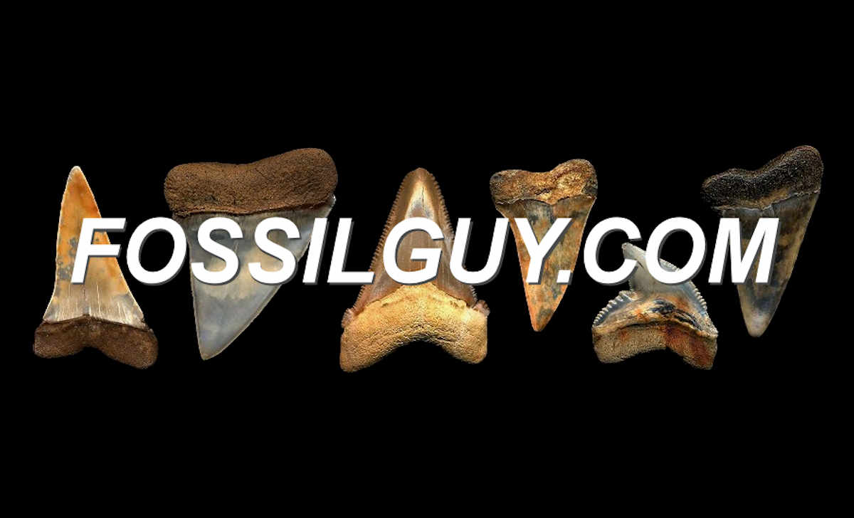Sites-fossil-fr-Site