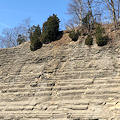 About halfway down the cliffs below the evergreens is the 1928 excavation site of the famous Dunkleosteus specimen CMNH 768.