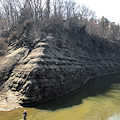 More cliffs that contain the Cleveland Shale along the Rocky River Reserve