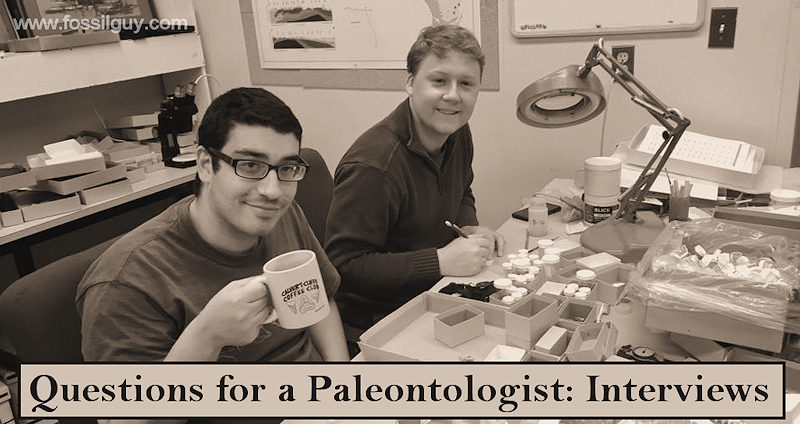 Questions for a paleontologist: Interviews