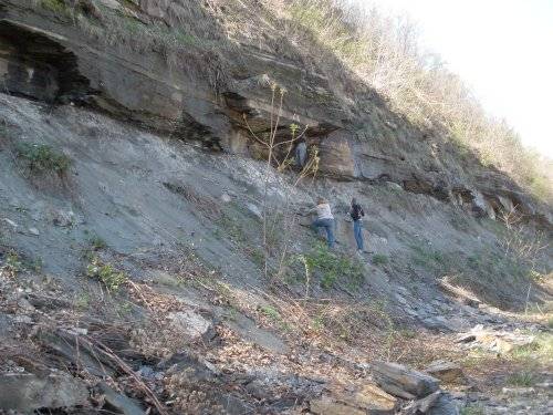 Sylvania, Ohio Fossil Site