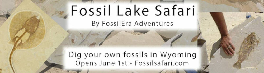 Learn More at Fossil Safari