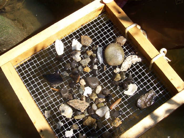 Screening a gravel bar at Green's mill run