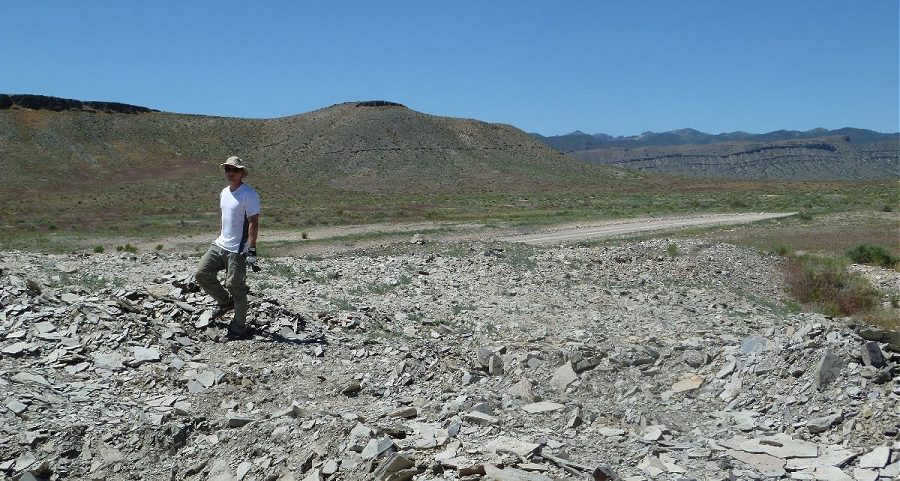 I'm scouting at the 'Bathyuriscus Bonanza' quarry looking for fosisl trilobites.